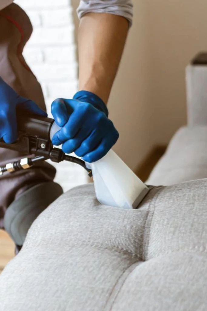 Best Upholstery Dry Cleaning